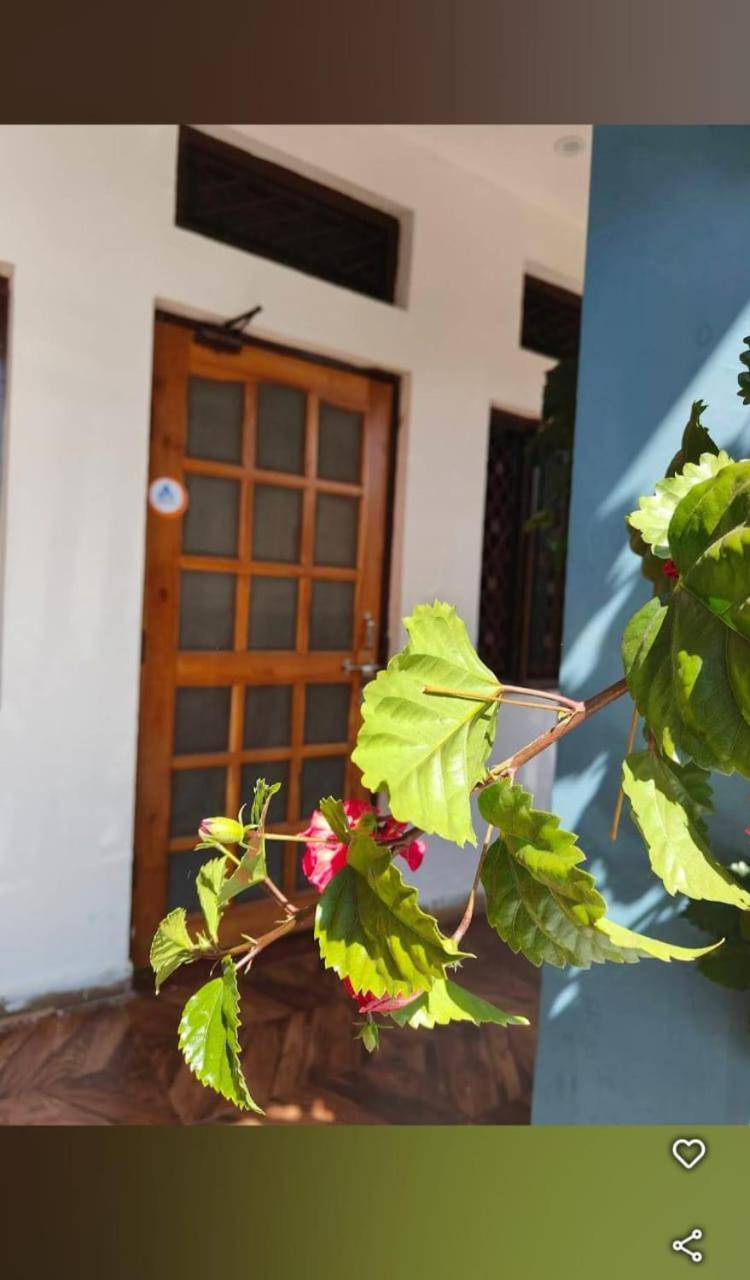 Chandarshila Hike Homestay Ukhimath Ngoại thất bức ảnh